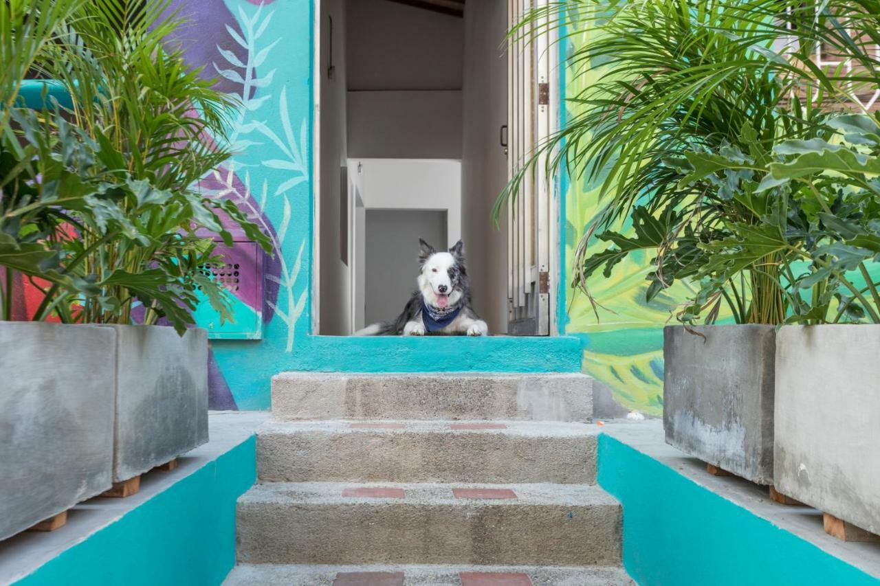 Hostel Gaston Coliving